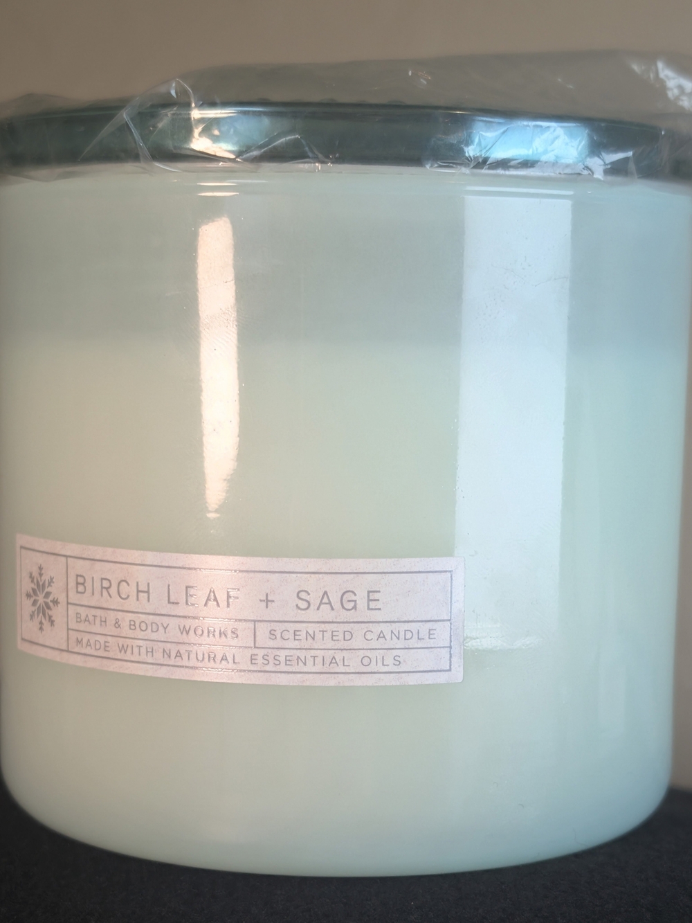 Birch Leaf + Sage Candle Retired Scent-Bath & Body Works